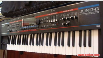ROLAND JUNO G 97成新,送原廠琴包,ROLAND延音踏板 二手設備轉讓區 中國電子琴在線論壇