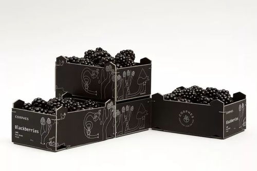 農產品土特產包裝設計參考