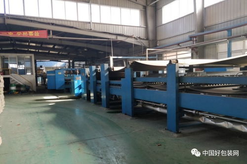 頭條 行情不好,生意難做,9家紙包裝廠廠房 瓦線 模切機等資產被拍賣