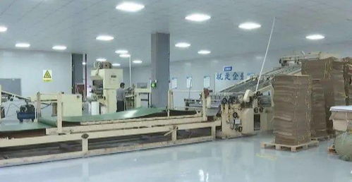 補齊產業鏈,助力產業發展丨水城縣農投集團包裝廠建成