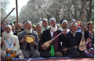 今天的主角是誰 新疆的世界文化和自然遺產