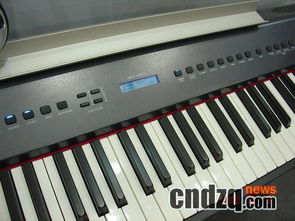 國(guó)產(chǎn)品牌電鋼琴 鍵盤(pán)技術(shù)顯著進(jìn)步，音源性能尚需提升——附電子琴包搭配指南